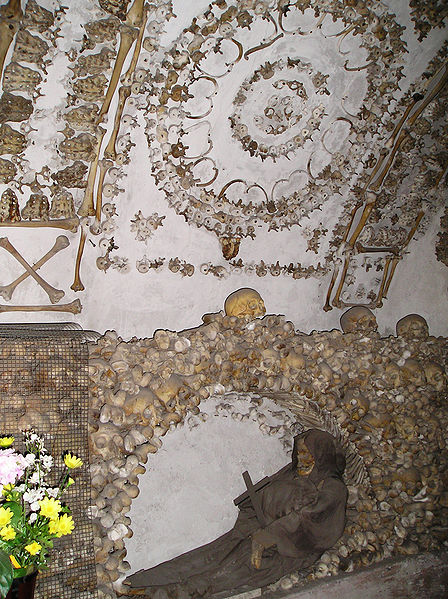 Cripta dei bacini